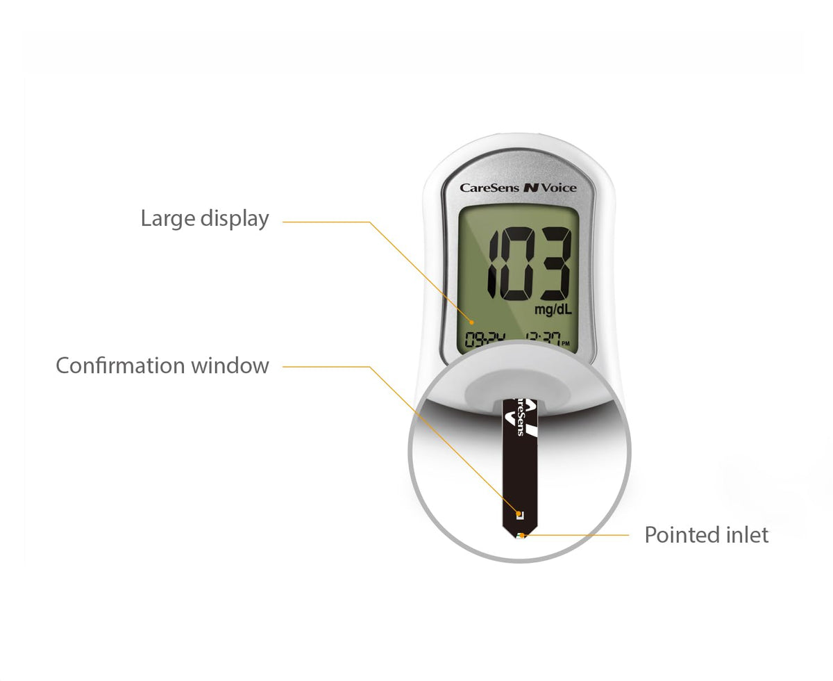 Blood Glucose Monitoring System with Talking Meter, 300 Test Strips, 100 Lancets, Lancing Device and Carrying Case V5459