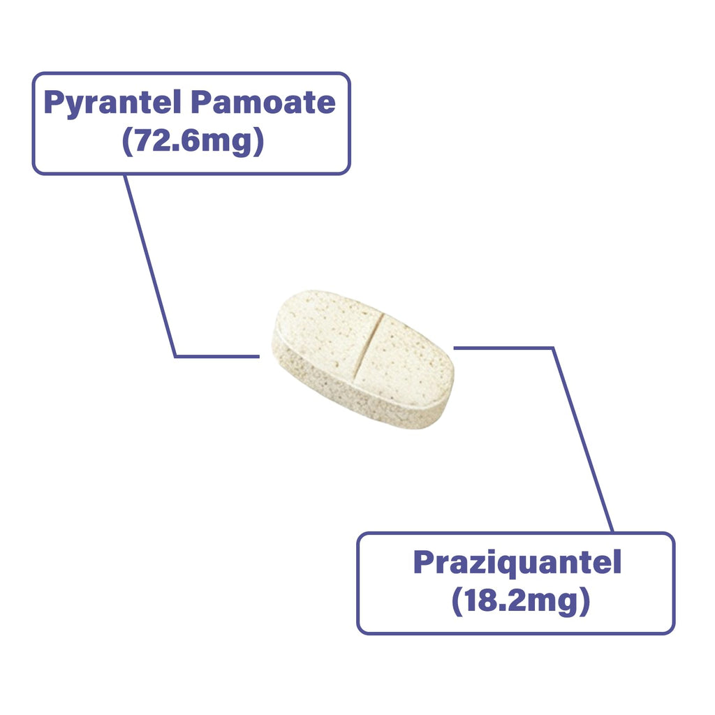 Puppies and Small Dogs Dewormer Chewables I431906