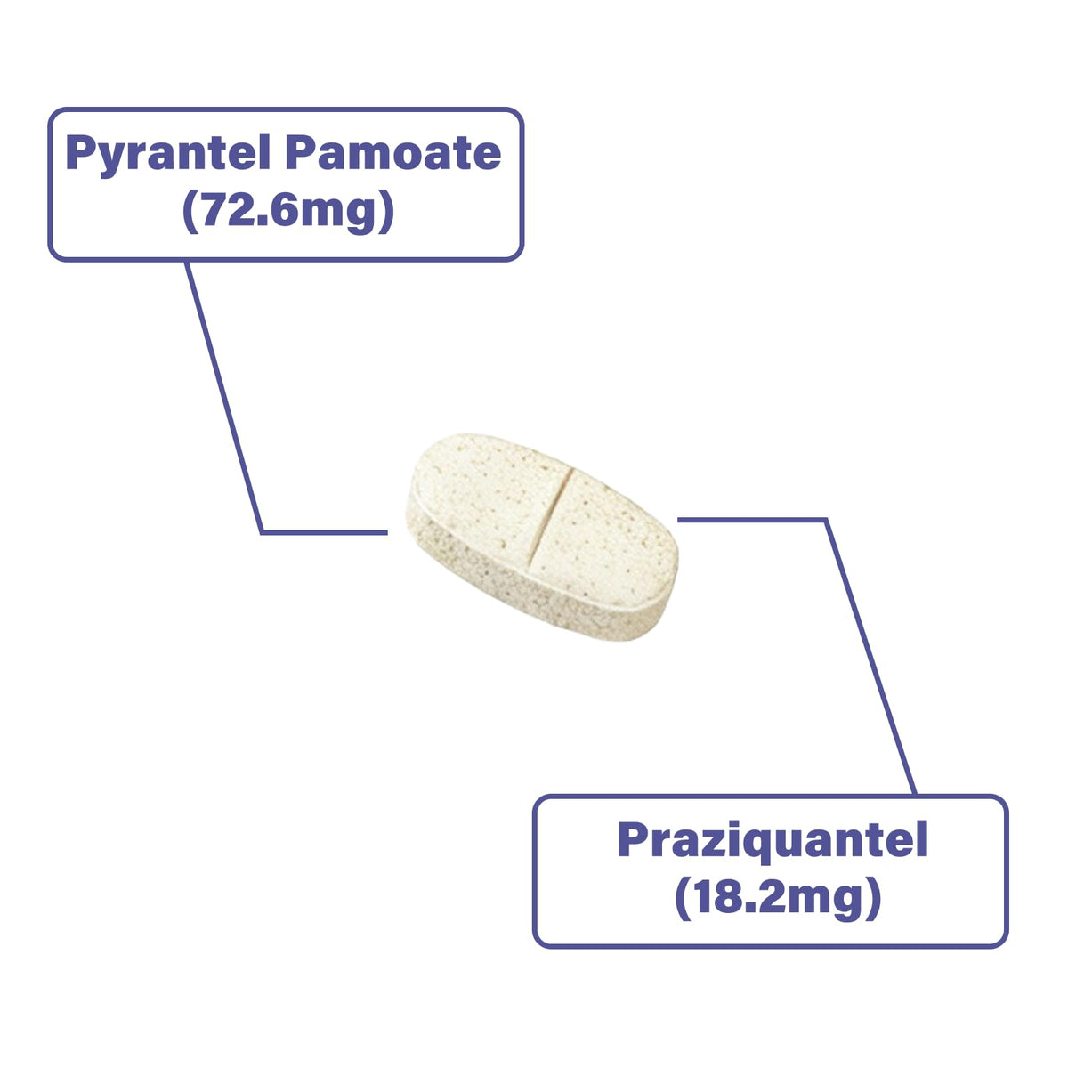 Puppies and Small Dogs Dewormer Chewables I431906