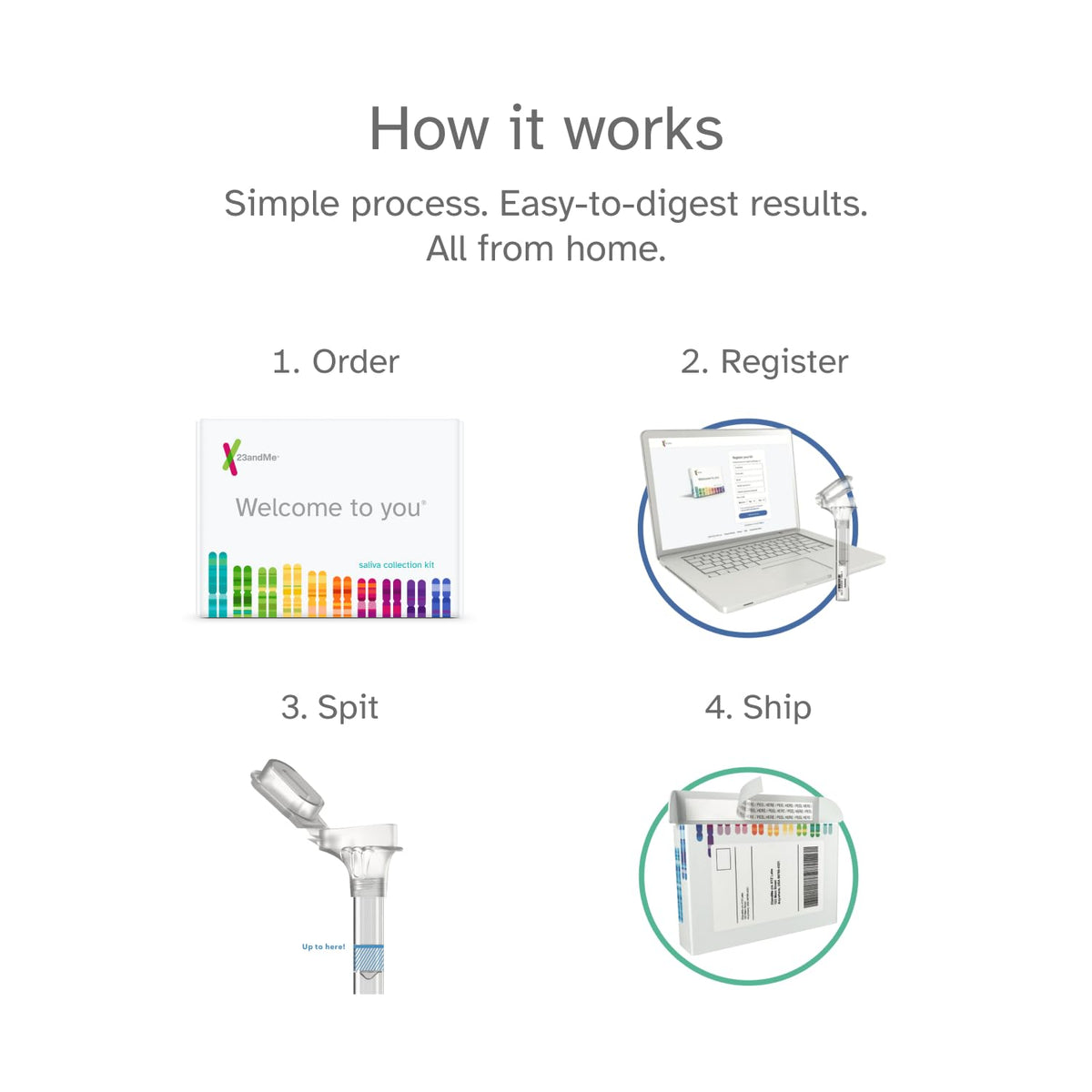 DNA Test Kit X987