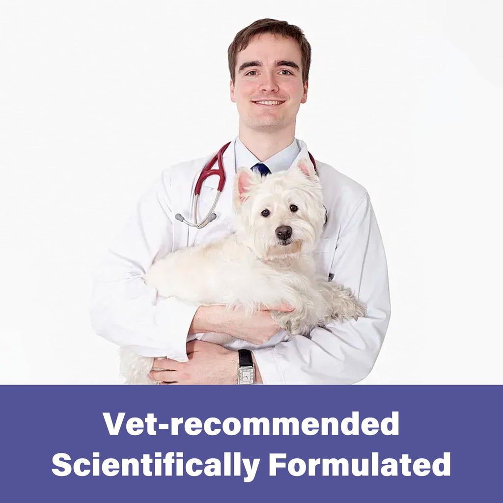 Puppies and Small Dogs Dewormer Chewables I431906