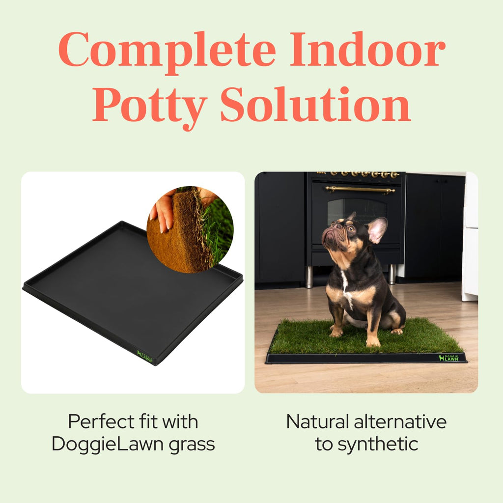 Leak-Proof Dog Potty Tray Medium D235