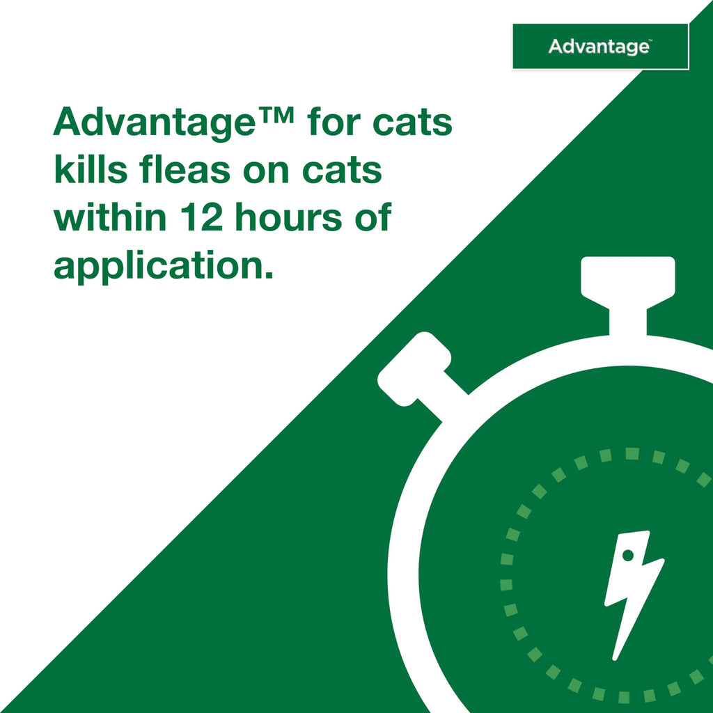 Topical Cat Flea Treatment and Prevention for Large Cats Over 9 lbs R9329