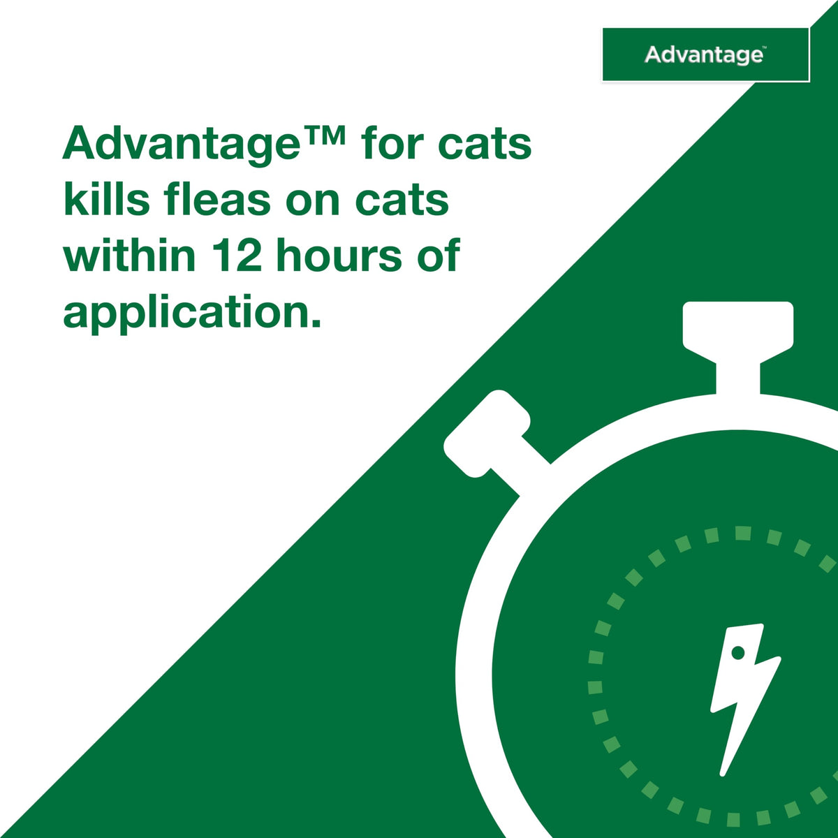 Topical Cat Flea Treatment and Prevention for Large Cats Over 9 lbs R9329