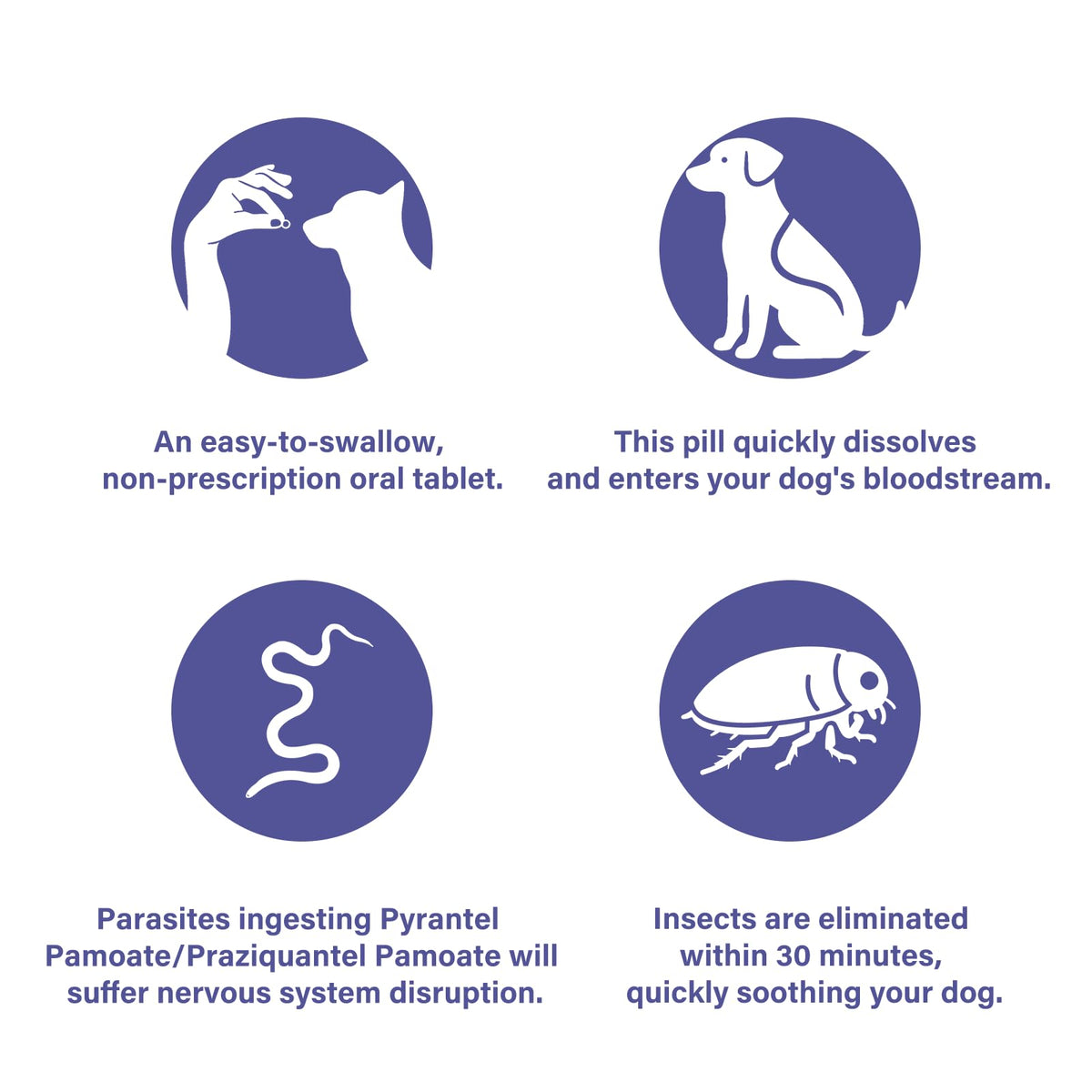 Puppies and Small Dogs Dewormer Chewables I431906