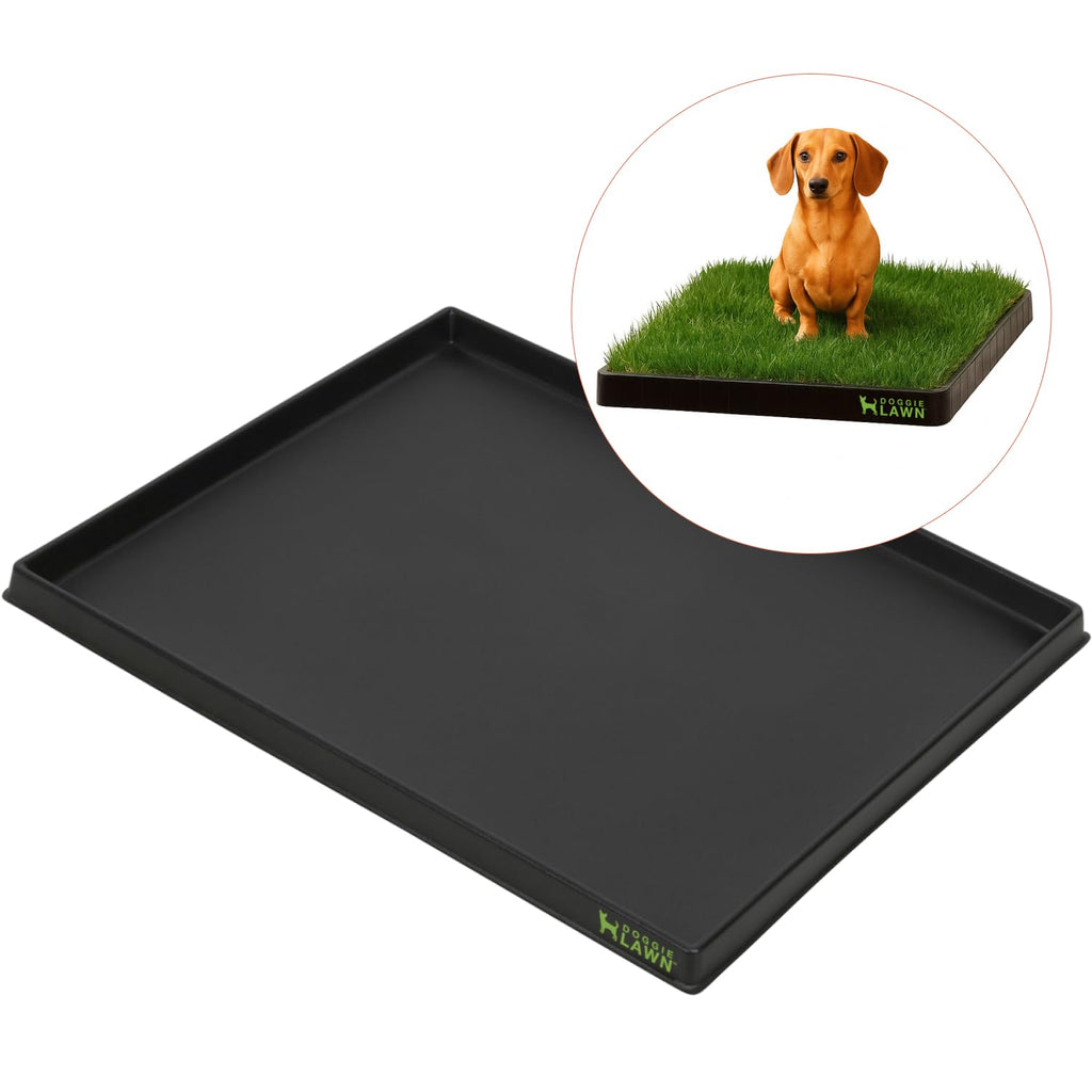 Leak-Proof Dog Potty Tray Medium D235