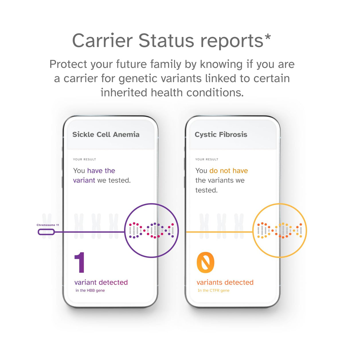 DNA Test Kit X987