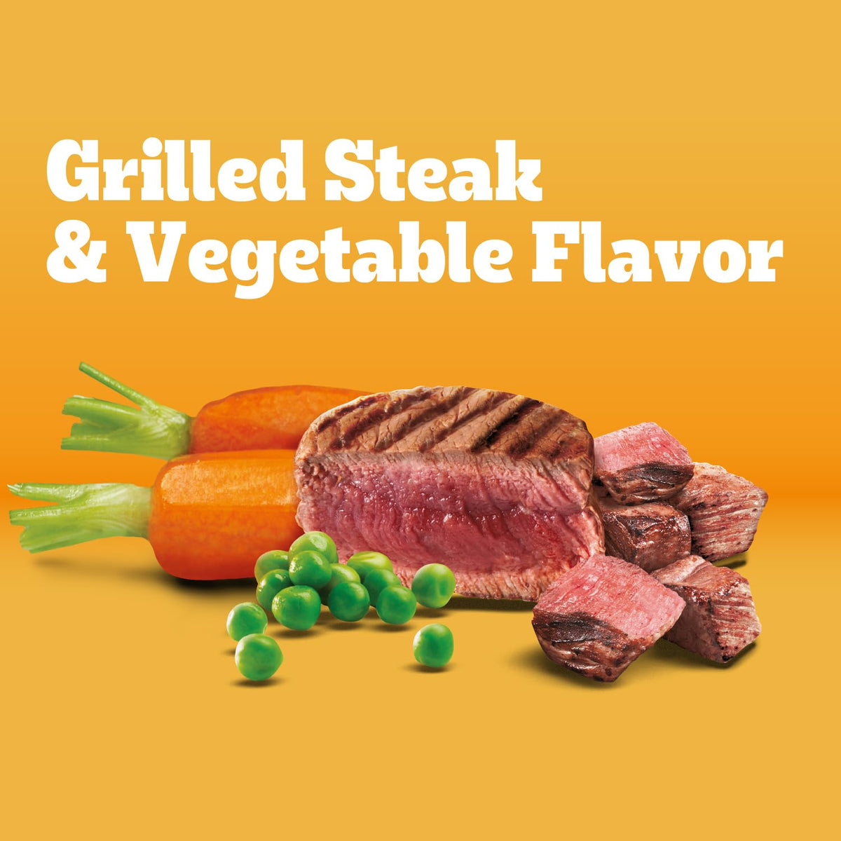 Adult Complete Nutrition Dry Dog Food Steak & Vegetable 18 lb W453502