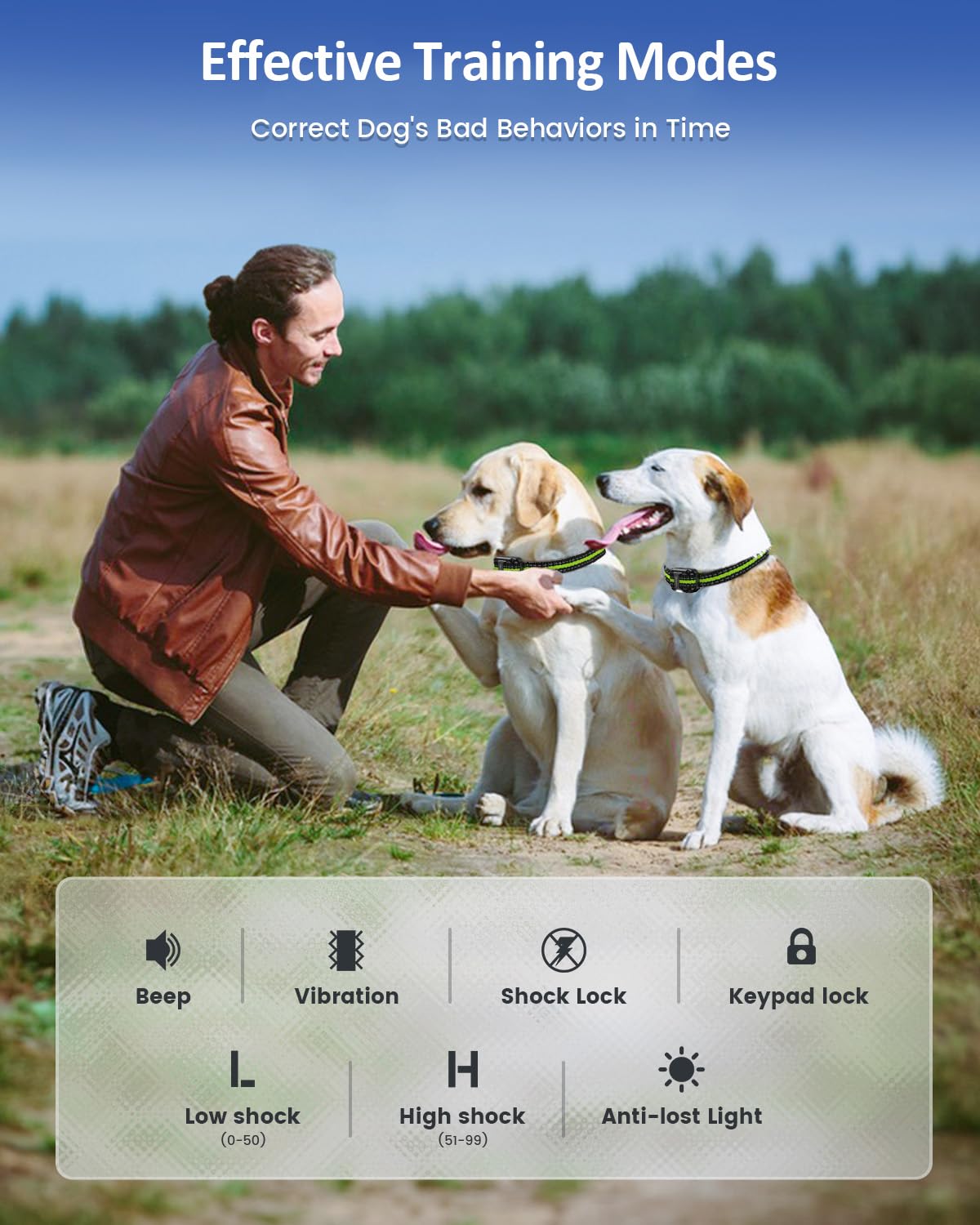 Dog Training Collar V742766