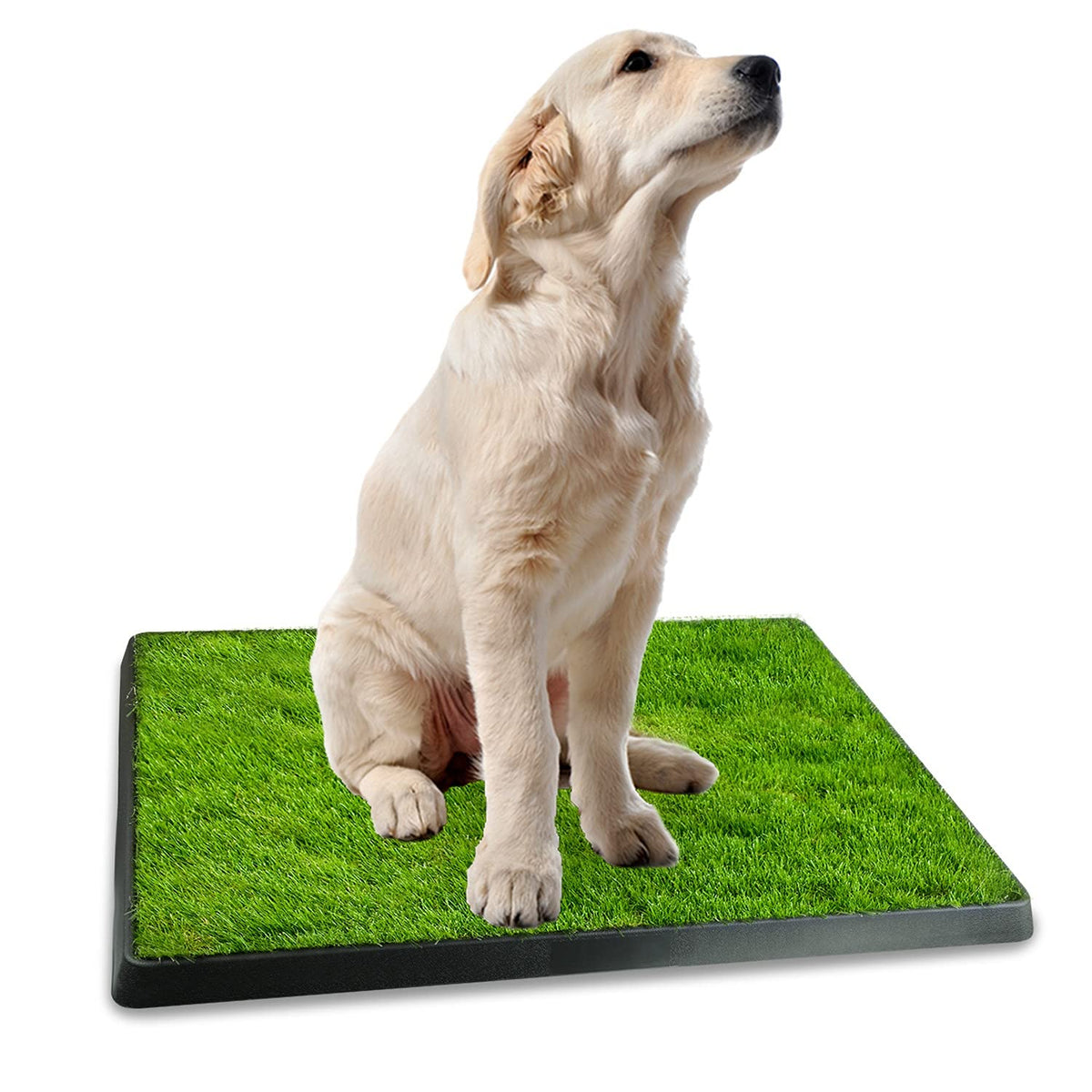Indoor Dog Potty Grass Pad with Tray G231