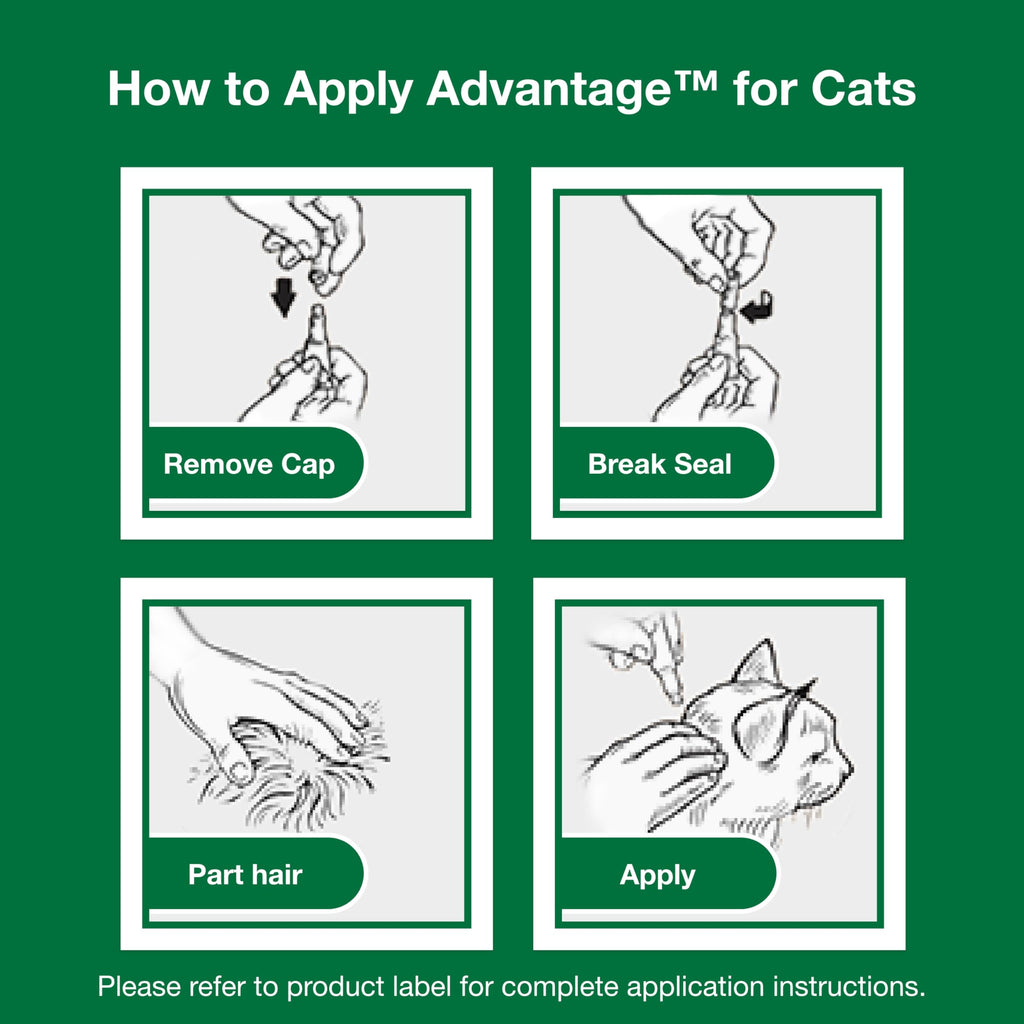 Topical Cat Flea Treatment and Prevention for Large Cats Over 9 lbs R9329