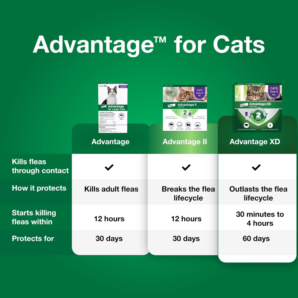 Topical Cat Flea Treatment and Prevention for Large Cats Over 9 lbs R9329