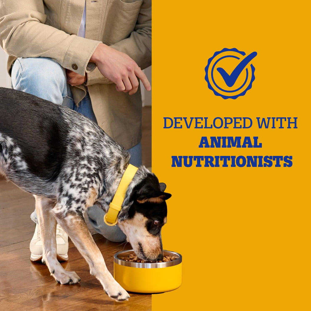 Adult Complete Nutrition Dry Dog Food Steak & Vegetable 18 lb W453502