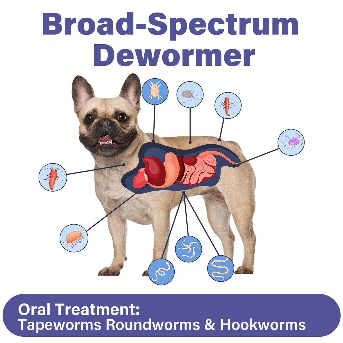 Puppies and Small Dogs Dewormer Chewables I431906