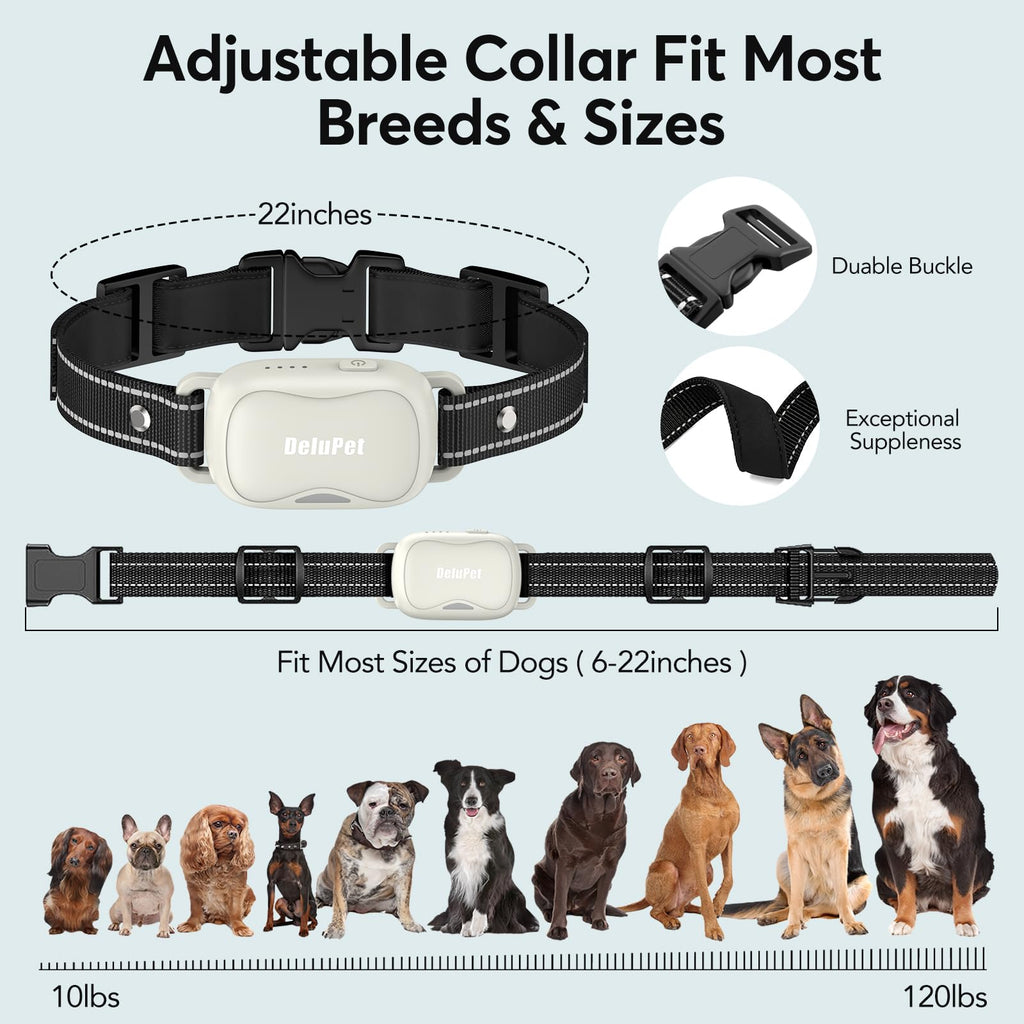 Dog Training Collar with Remote 2 Pack E7248