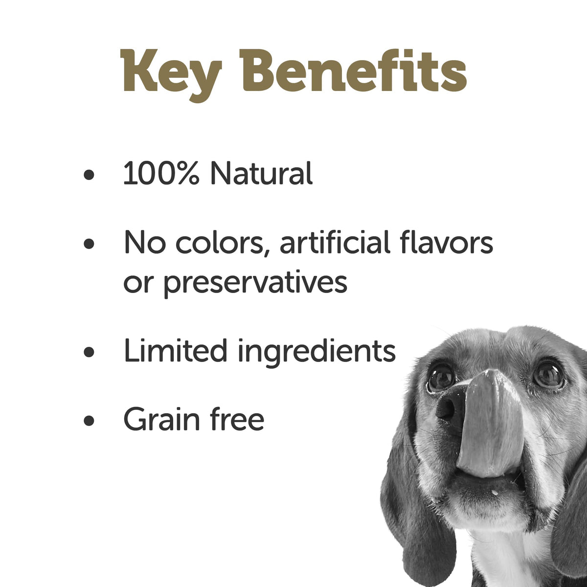 Chicken Bone Broth Dog Food Topper 6-Pack 7.1oz Pouch H4428