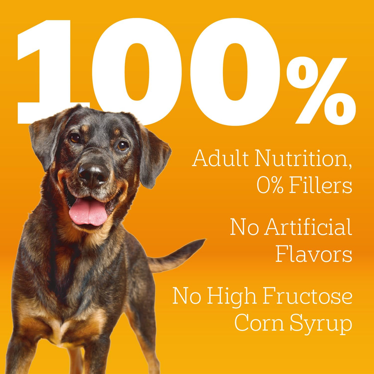 Adult Complete Nutrition Dry Dog Food Steak & Vegetable 18 lb W453502