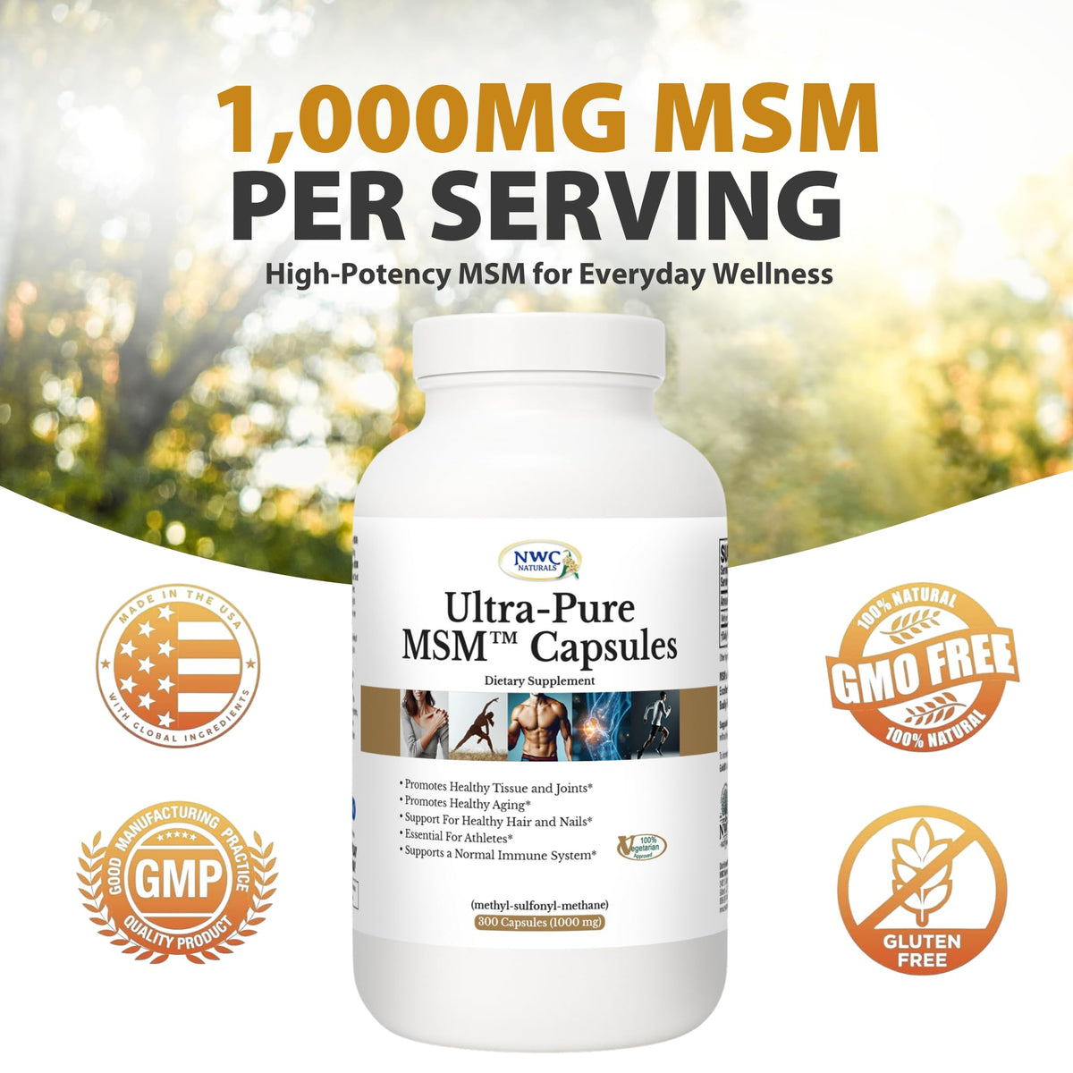 MSM Capsules 1000 mg 300 Count J613175