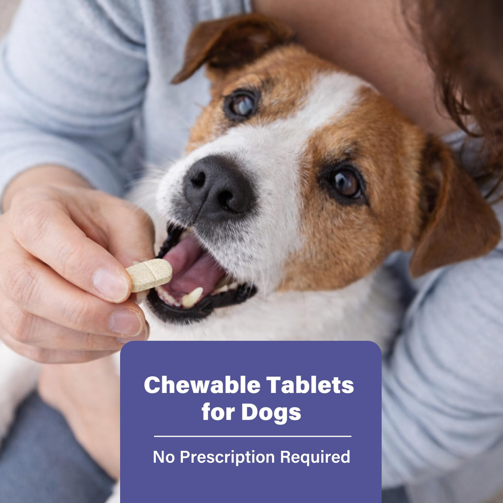Puppies and Small Dogs Dewormer Chewables I431906
