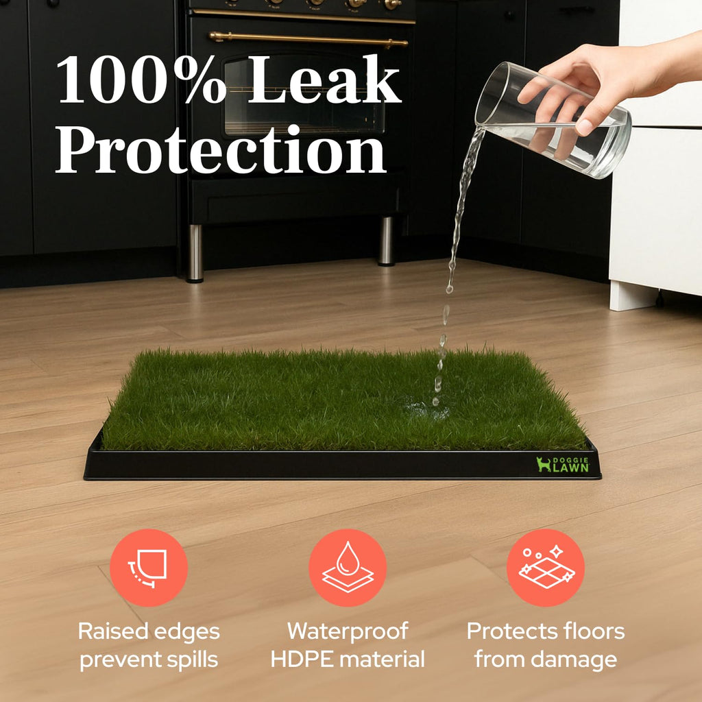 Leak-Proof Dog Potty Tray Medium D235