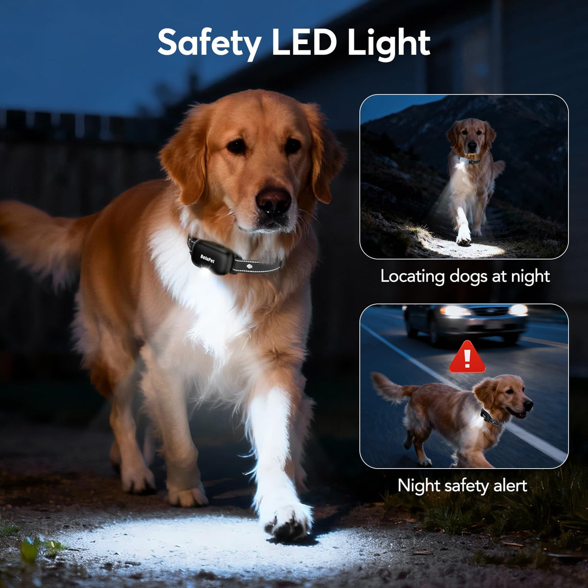 Dog Training Collar with Remote 2 Pack E7248