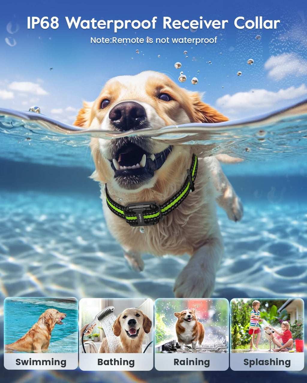 Dog Training Collar V742766