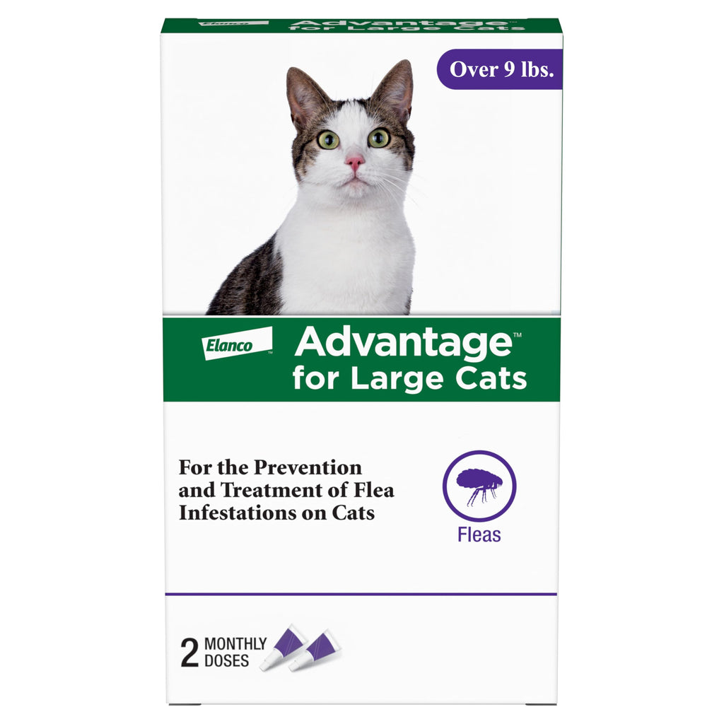 Topical Cat Flea Treatment and Prevention for Large Cats Over 9 lbs R9329