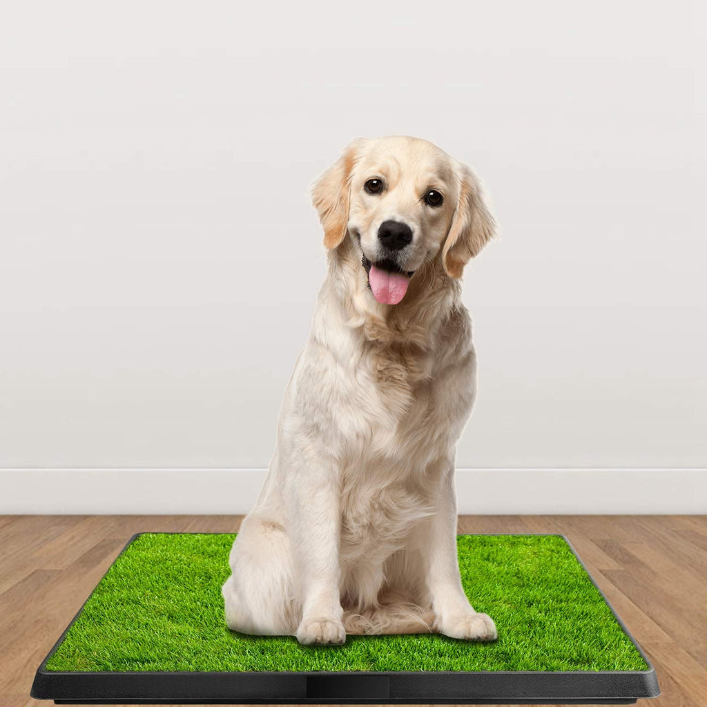 Indoor Dog Potty Grass Pad with Tray G231