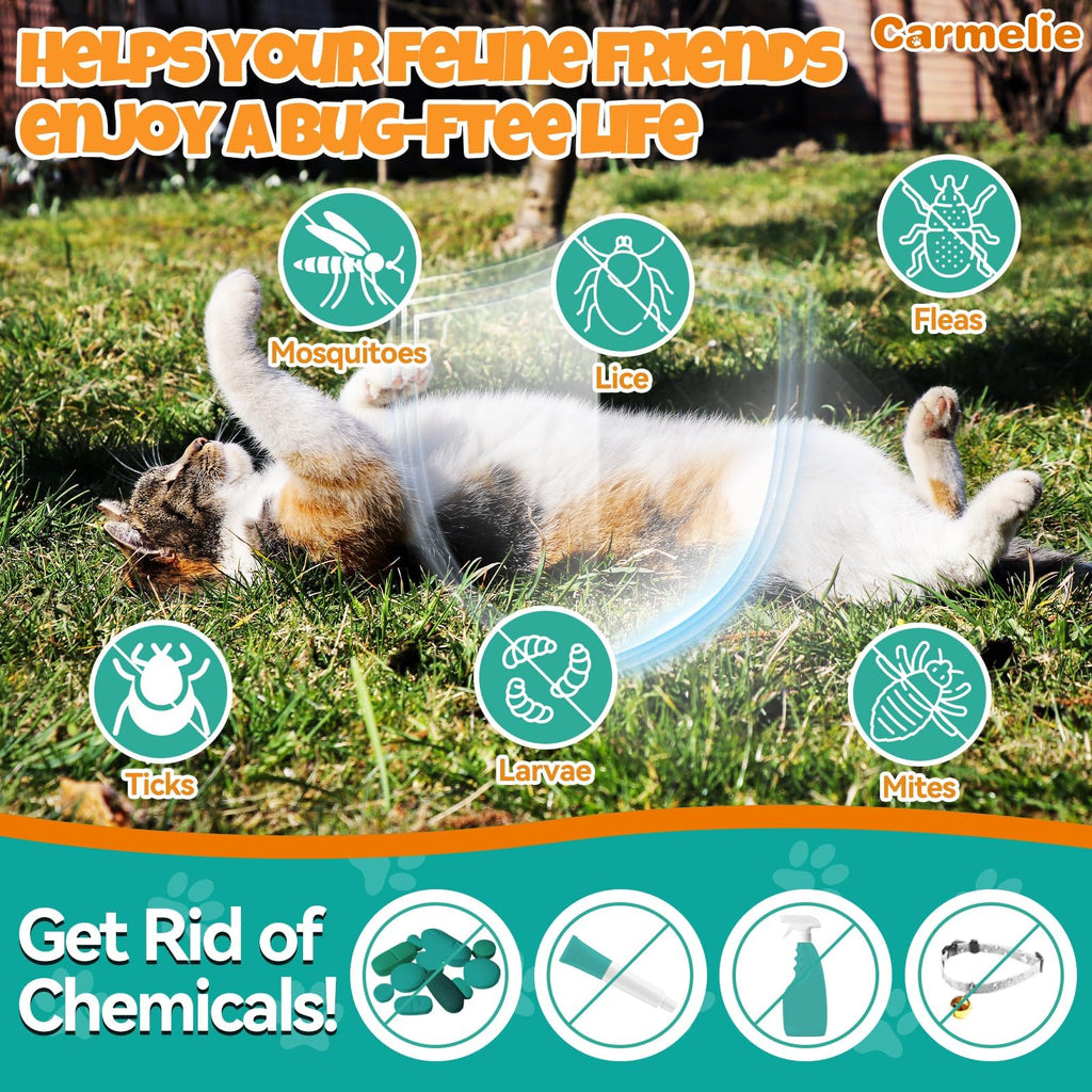 Flea and Tick Prevention for Cat with Vitamins Fish Oil 2 fl oz K6050