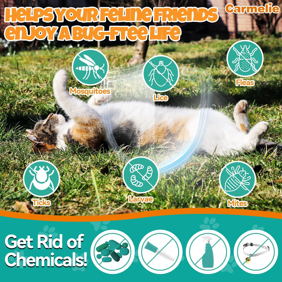 Flea and Tick Prevention for Cat with Vitamins Fish Oil 2 fl oz K6050