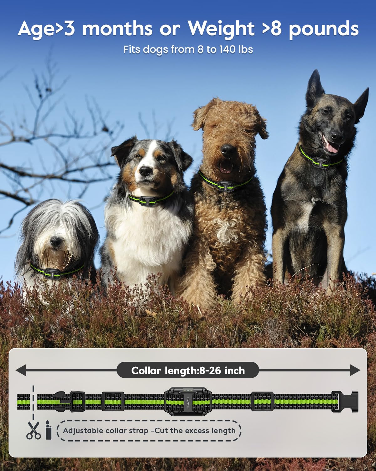 Dog Training Collar V742766