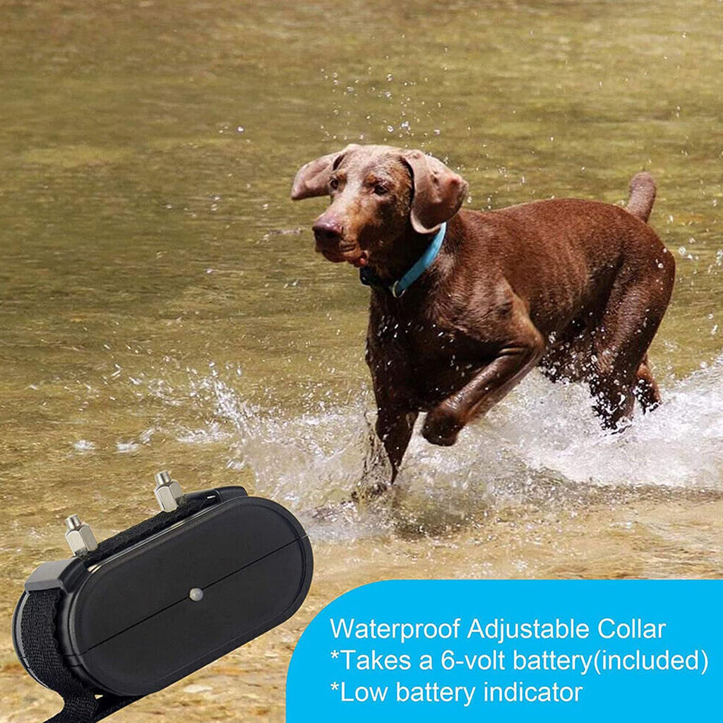 Electronic Dog Fence & Training Shock Collar, 1/2 Acre Waterproof Y85209