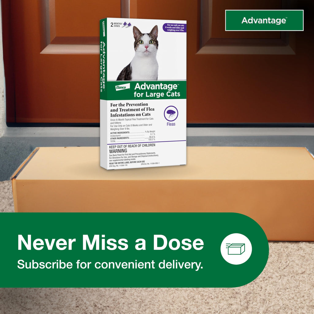Topical Cat Flea Treatment and Prevention for Large Cats Over 9 lbs R9329