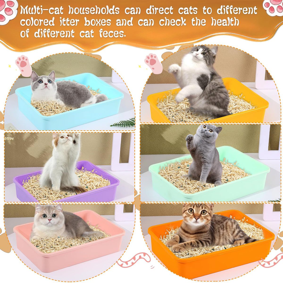 6 Pcs Plastic Kitten Litter Box Set with Scooper M13715