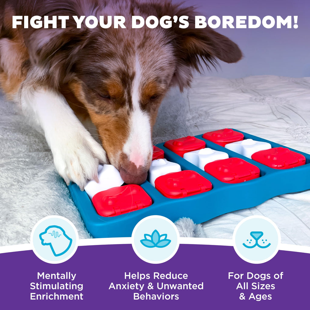 Dog Brick Dog Toy Treat Puzzle X2992