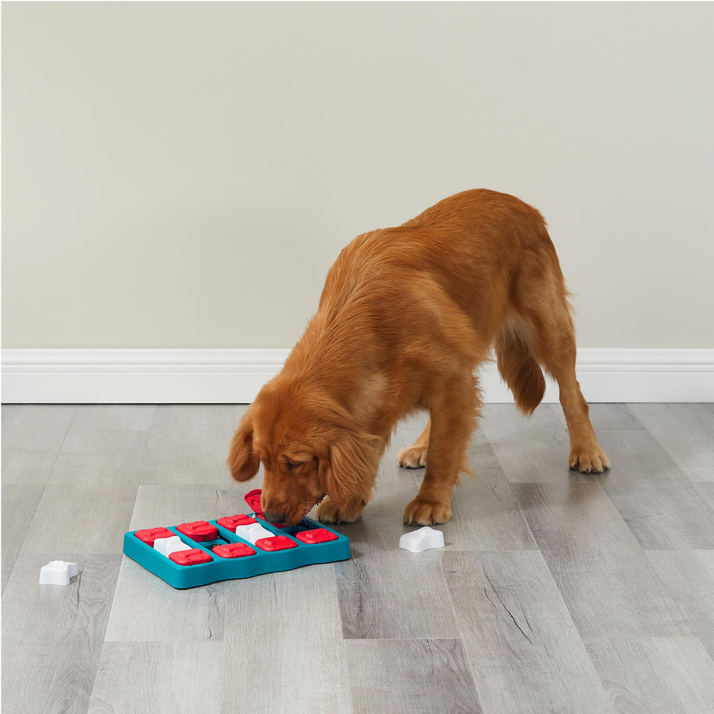 Dog Brick Dog Toy Treat Puzzle X2992