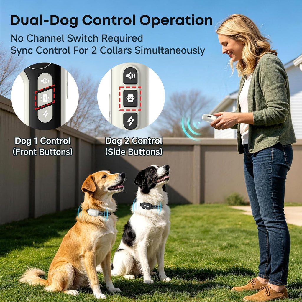 Dog Training Collar with Remote 2 Pack E7248