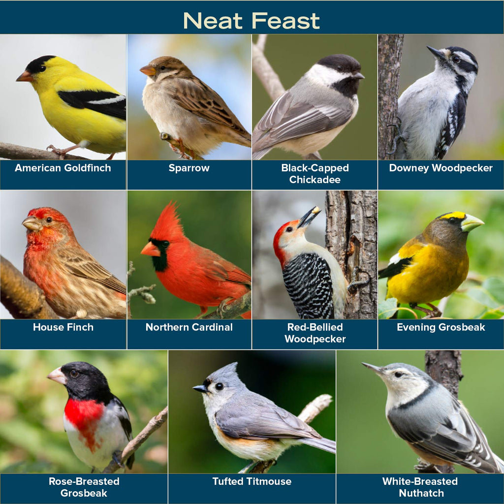 Wild Bird Seed 20 Pound Bag S373