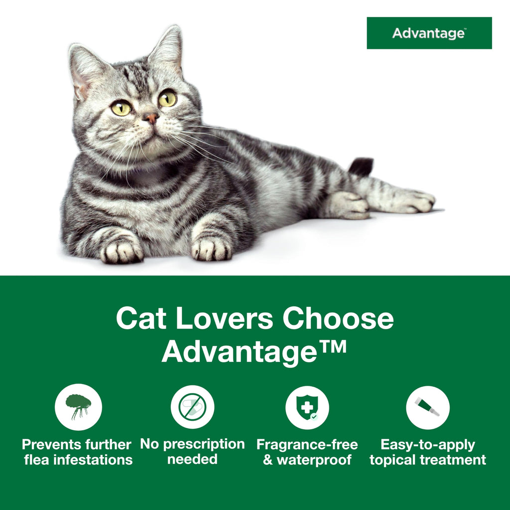 Topical Cat Flea Treatment and Prevention for Large Cats Over 9 lbs R9329