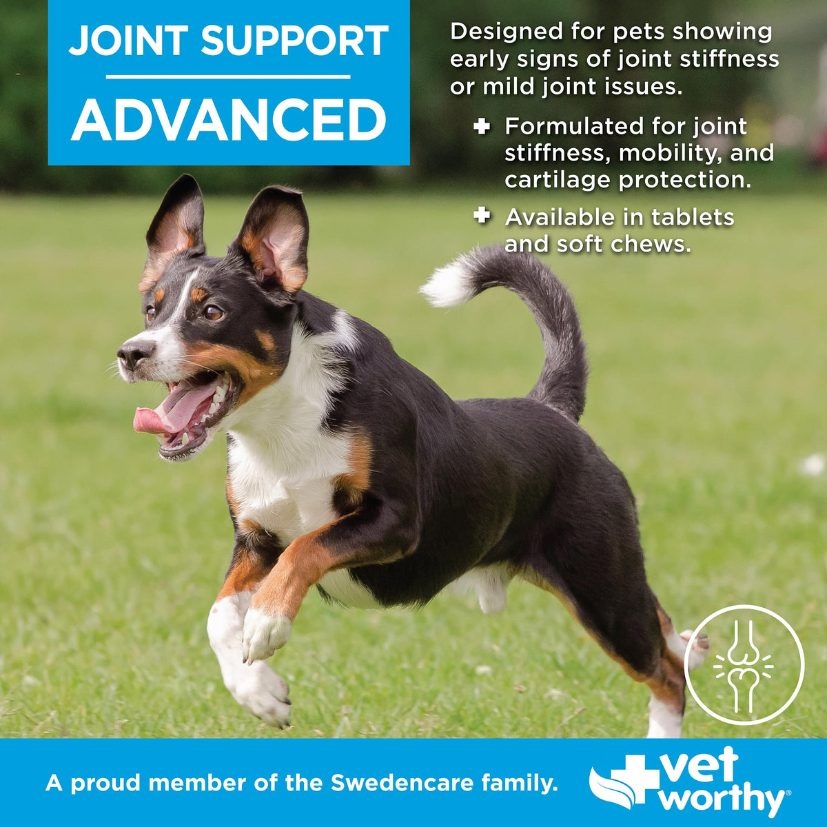 90ct Hip & Joint Tablets for Dogs T555191