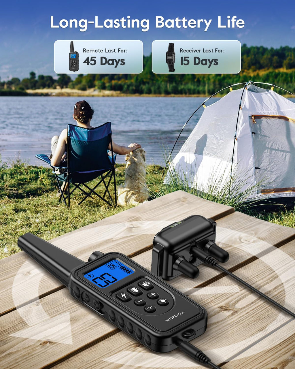 Dog Training Collar V742766