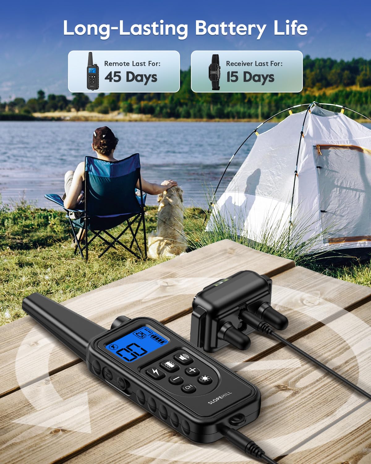 Dog Training Collar V742766