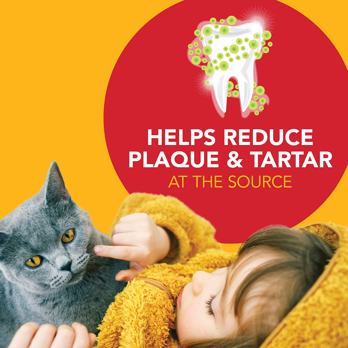 Cat Toothbrush and Toothpaste Kit Malt Flavor 2.5oz C598