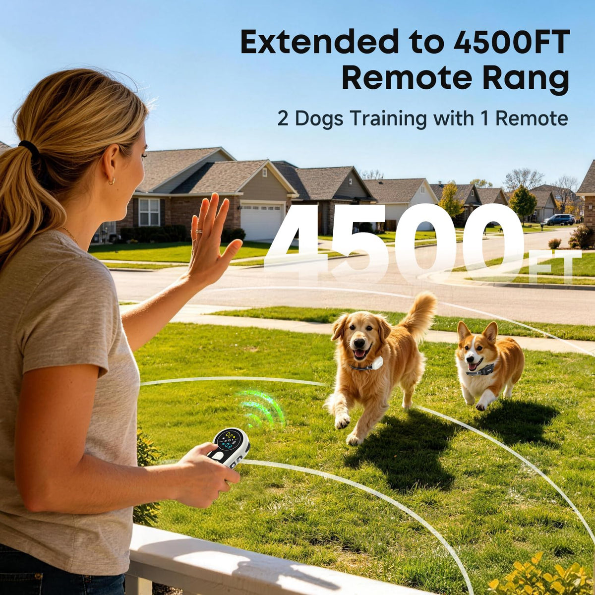 Dog Training Collar with Remote 2 Pack E7248