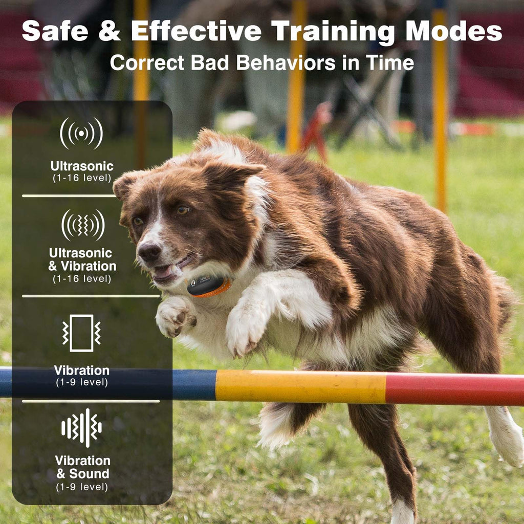 Vibrating Dog Training Collar with Remote W62613