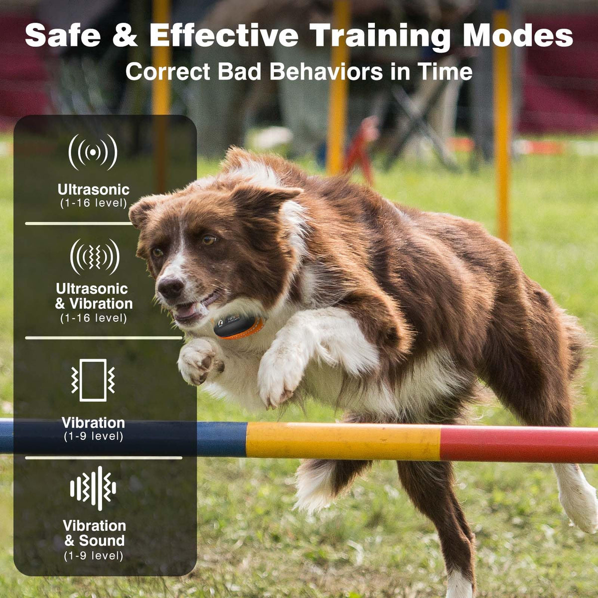 Vibrating Dog Training Collar with Remote W62613