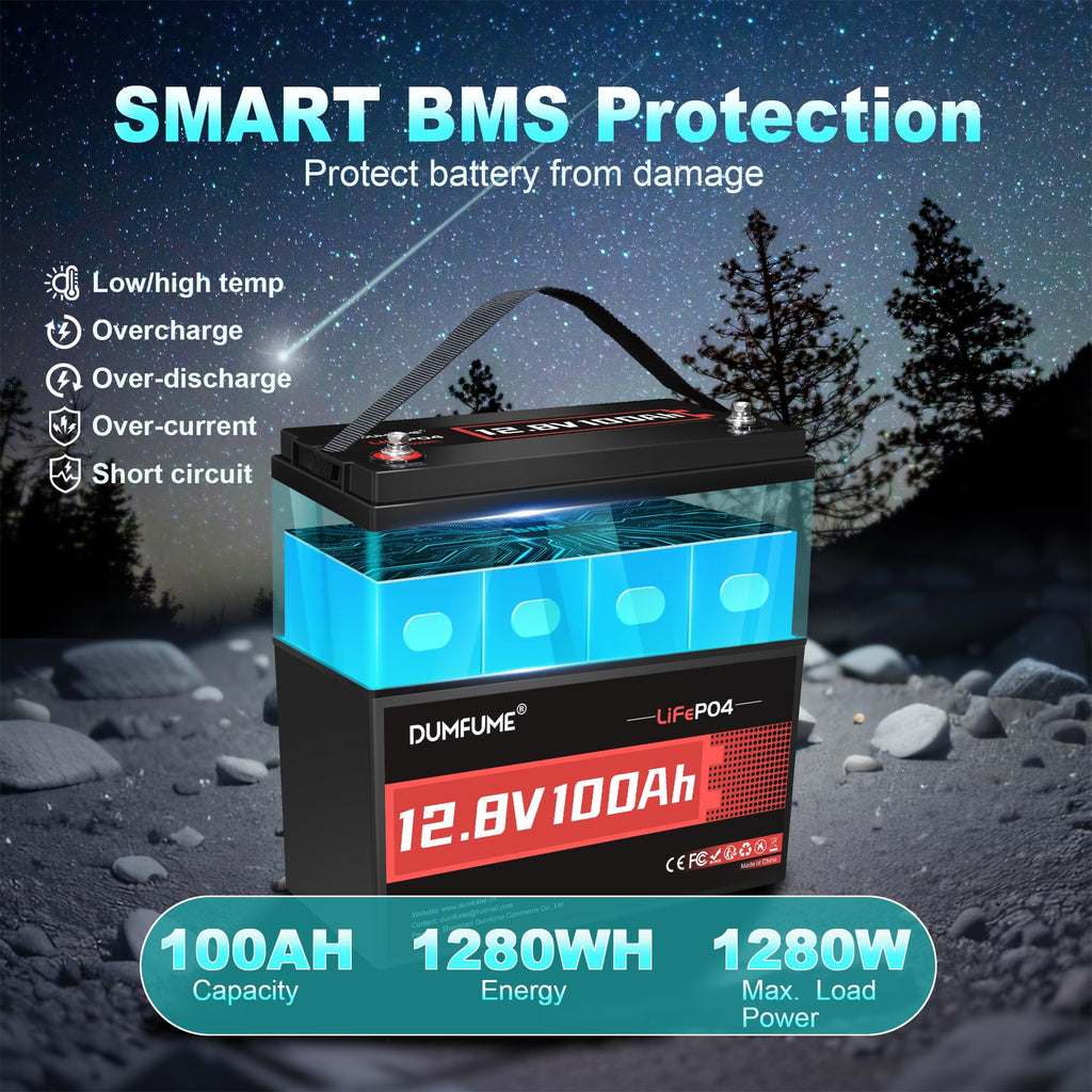 12V 100Ah LiFePO4 Battery Group 31 N43365