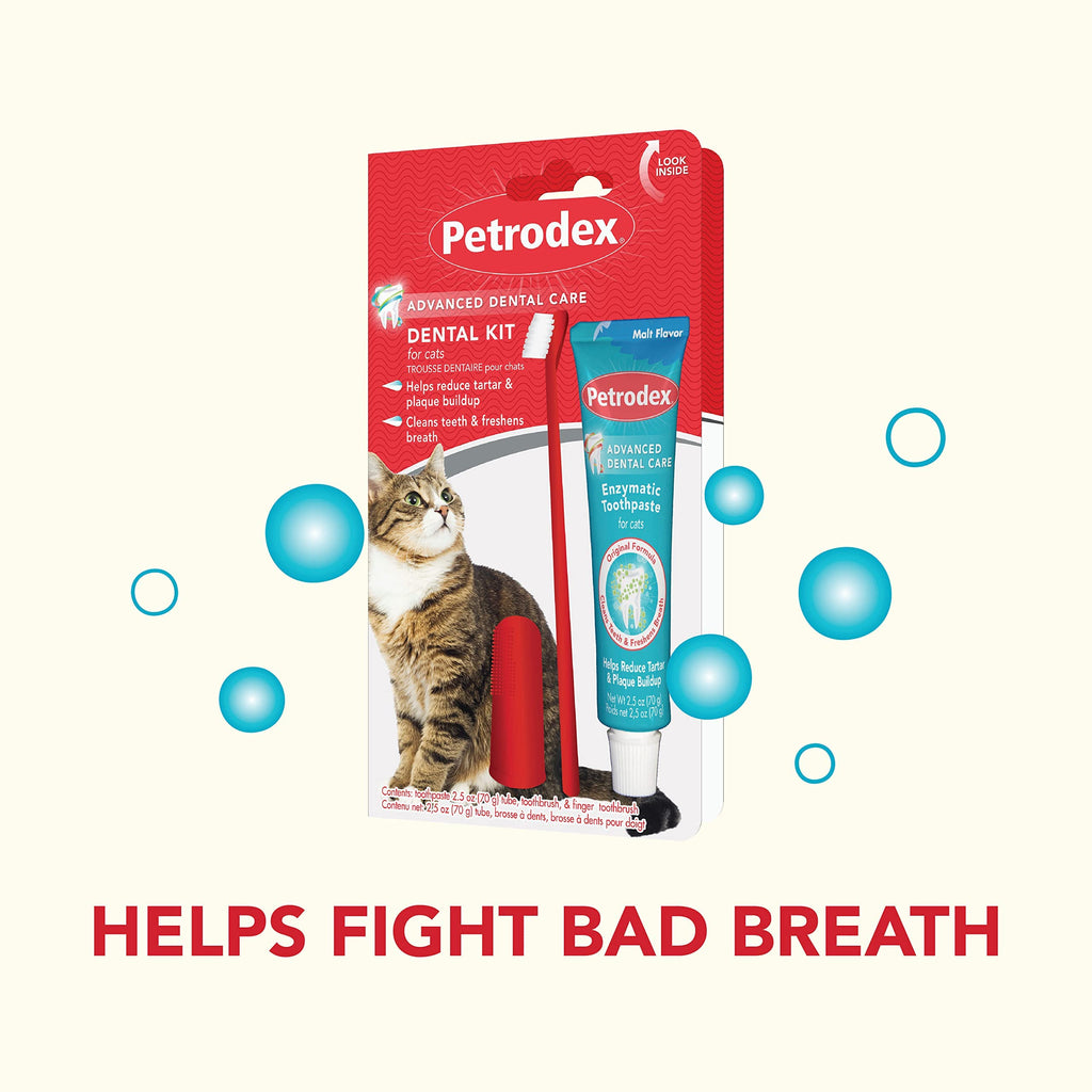 Cat Toothbrush and Toothpaste Kit Malt Flavor 2.5oz C598