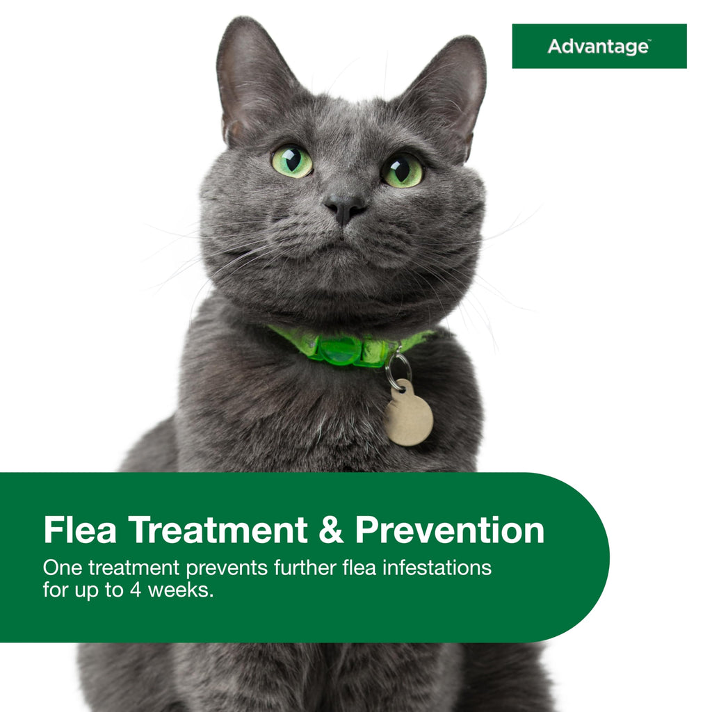 Topical Cat Flea Treatment and Prevention for Large Cats Over 9 lbs R9329