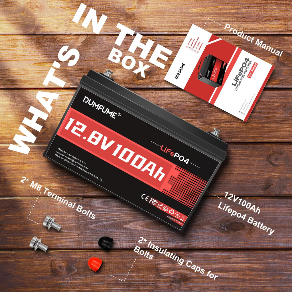 12V 100Ah LiFePO4 Battery Group 31 N43365